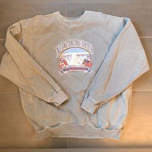 Vintage Brandy Melville Embroidered Niagara Falls Crewneck Sweatshirt -Gray/Blue